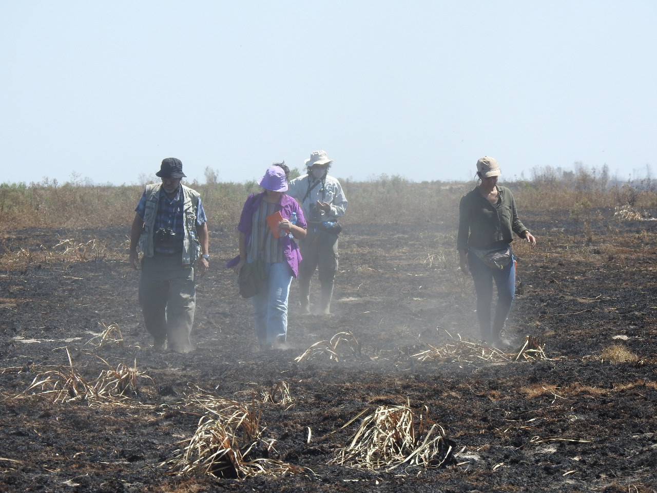 Incendios Iberá