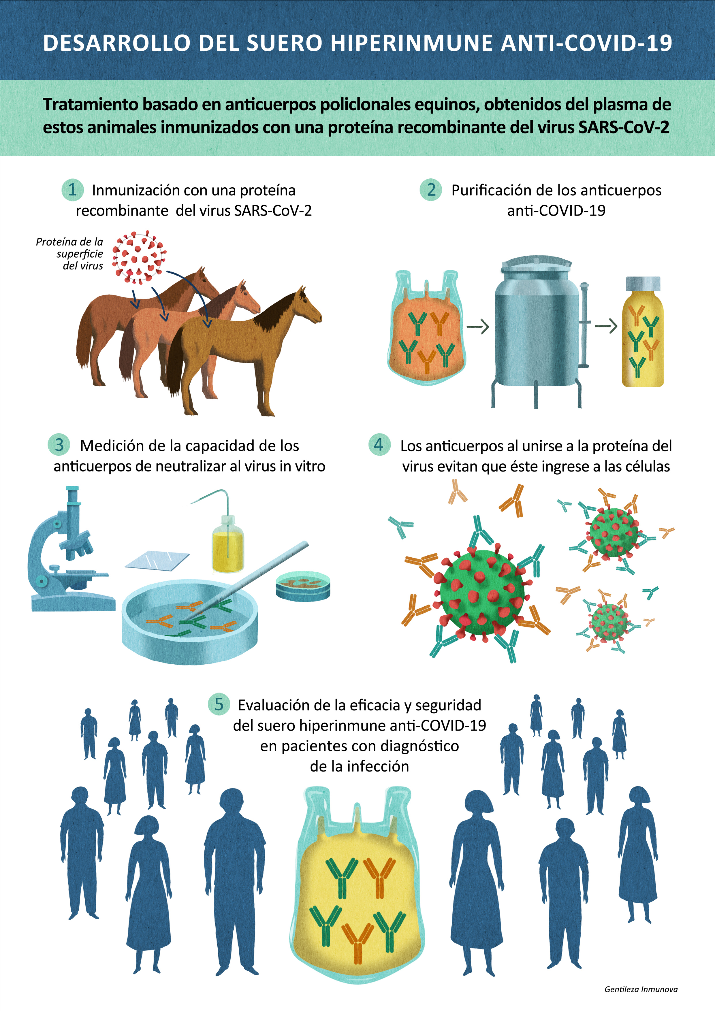 La ANMAT aprobó el suero equino hiperinmune | Argentina.gob.ar