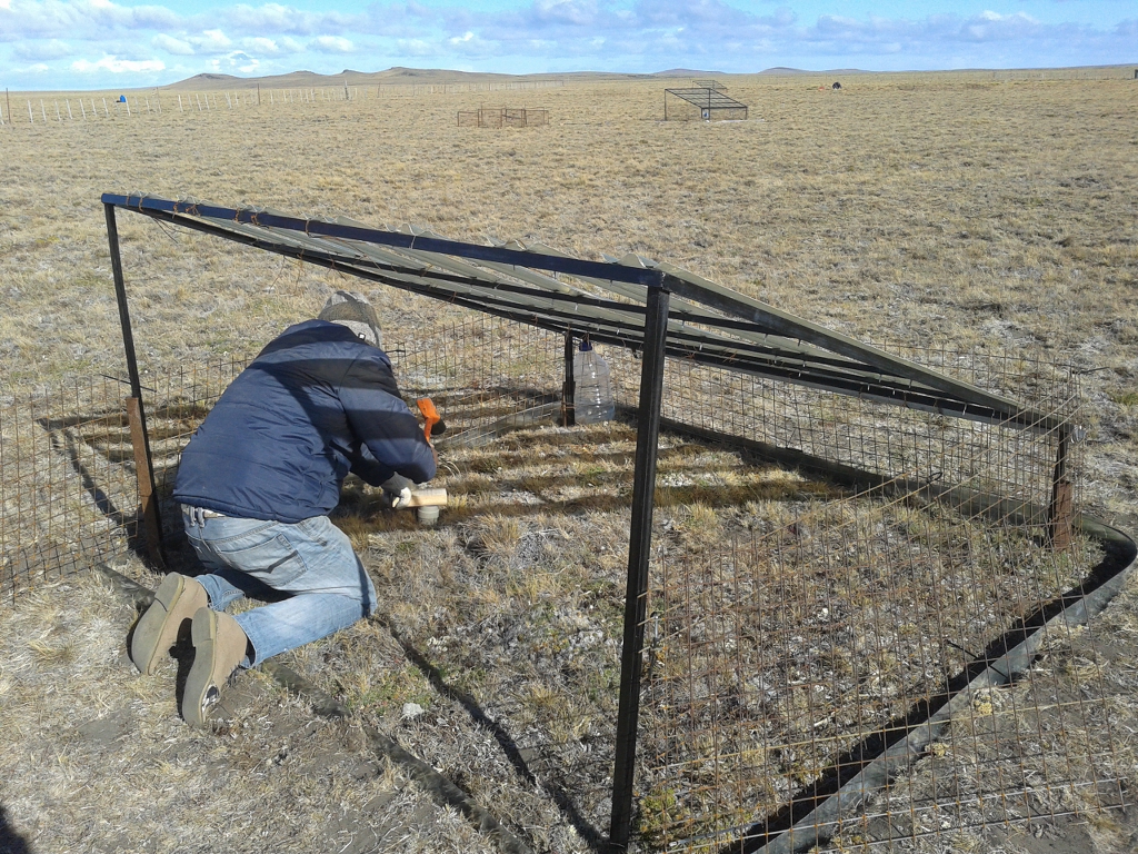 Interceptadores de lluvia instalados en el campo experimental Potrok Aike