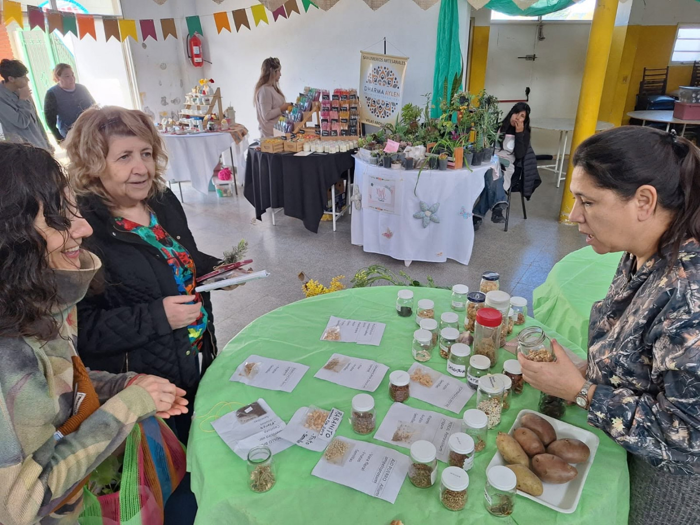 Mesa de semillas, esquejes y tubérculos adaptados a la zona norte de Santa Cruz