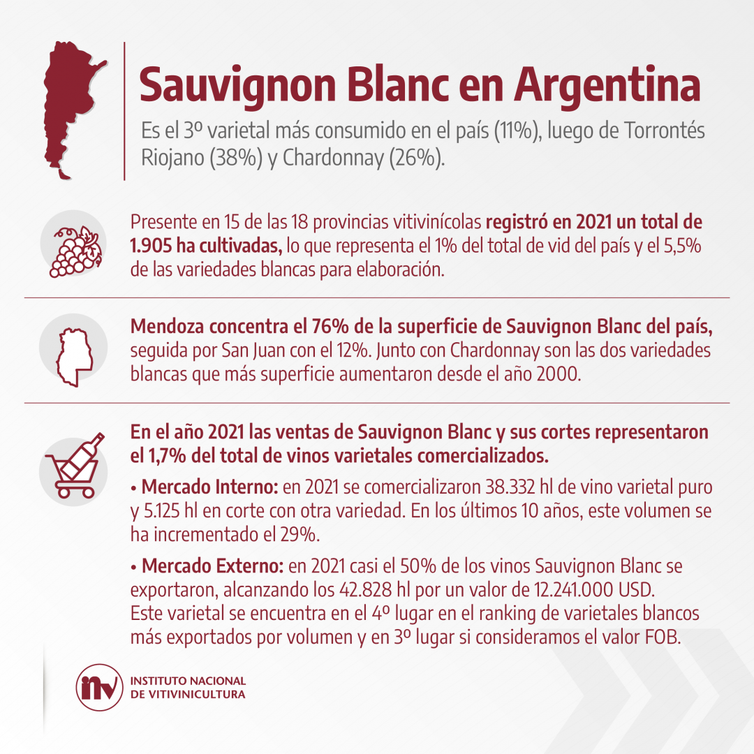Sauvignon Blanc y su actualidad en Argentina