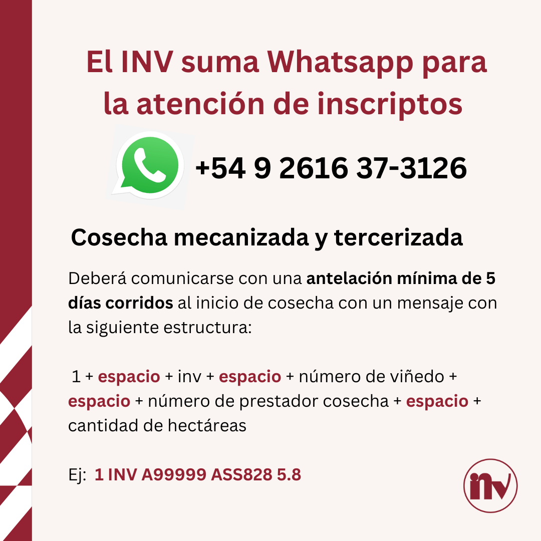 El INV suma WhatsApp para la atención de inscriptos durante la Cosecha ...