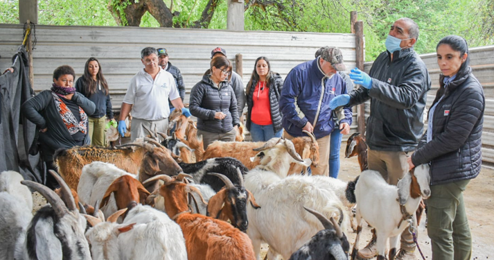Jornada de charlas y capacitaciones para productores ganaderos de Catamarca