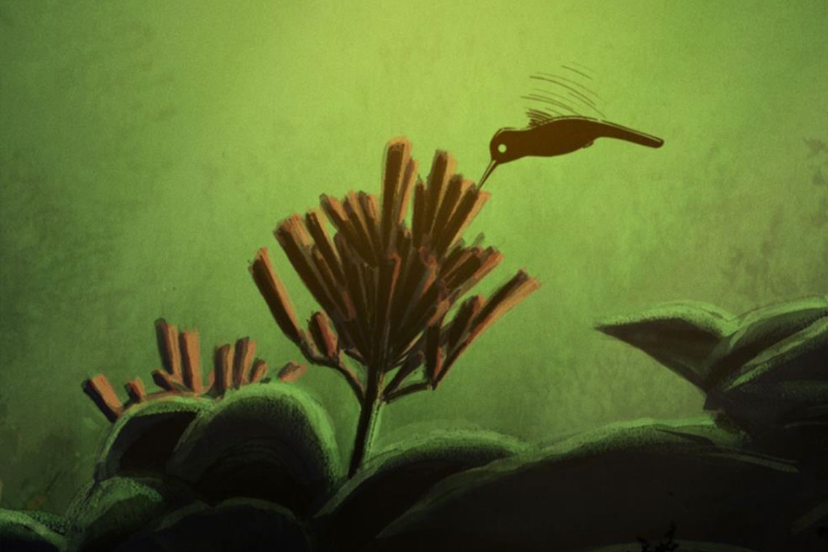 "La leyenda del colibrí" es uno de los cortos franceses que se proyectan en el Palacio Libertad.