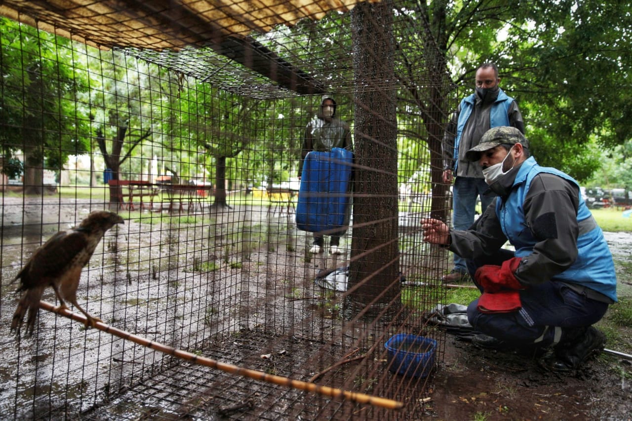 La BCA trasladó animales de un predio en Paraná que había sido fiscalizado en octubre