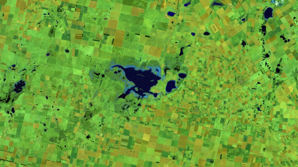Laguna La Picasa, Argentina - Landsat 5 TM
