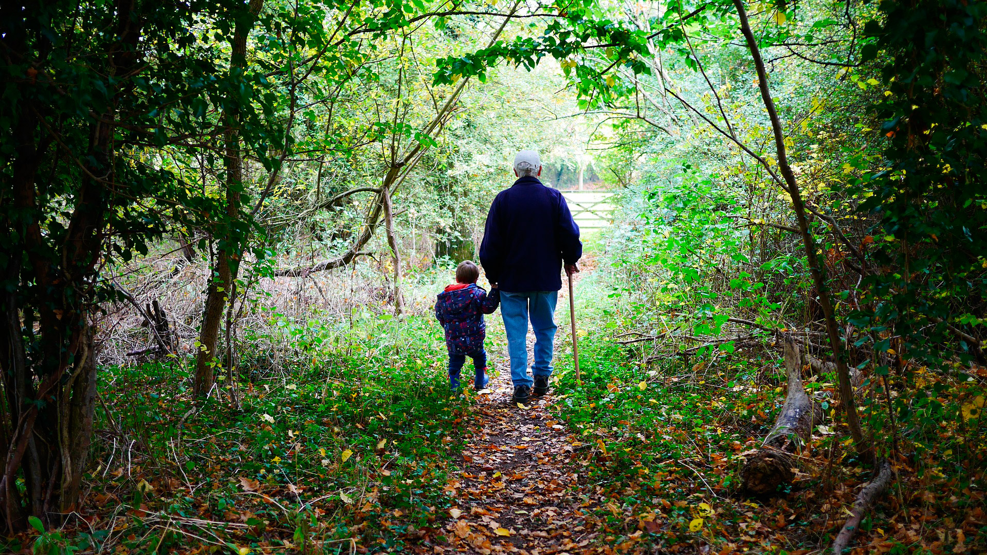 Imagen de ejemplo paisaje con hombre mayor y niño caminando de espaldas