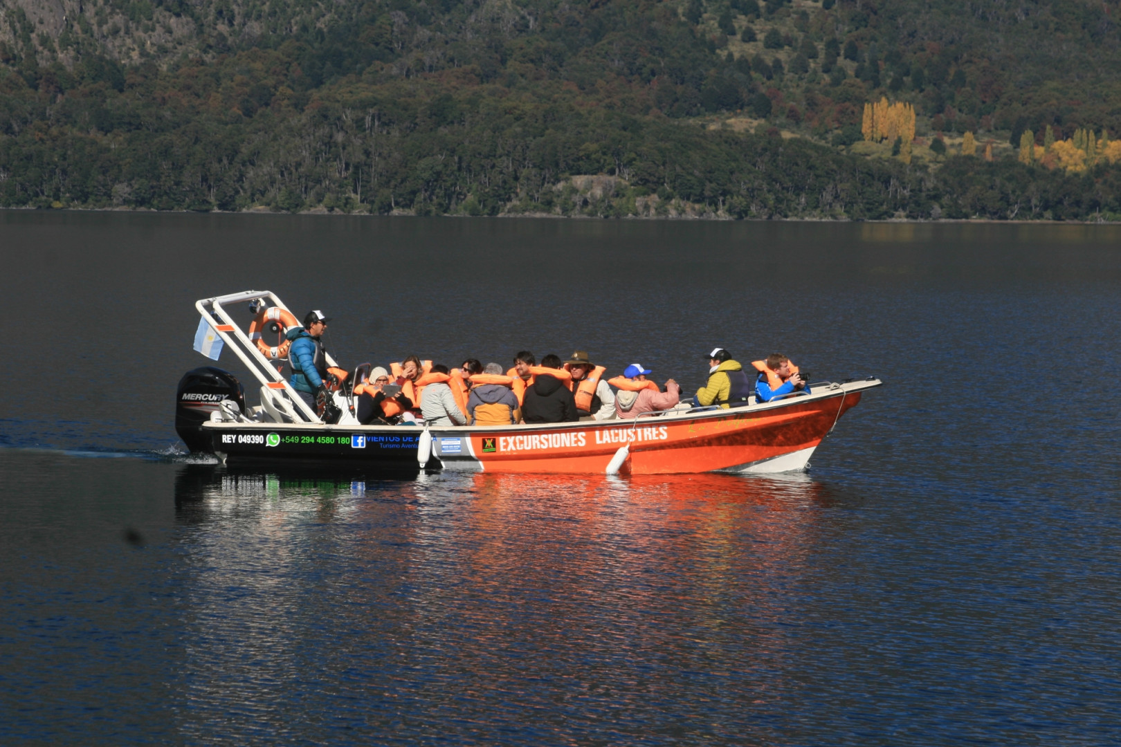 PN Lanín.