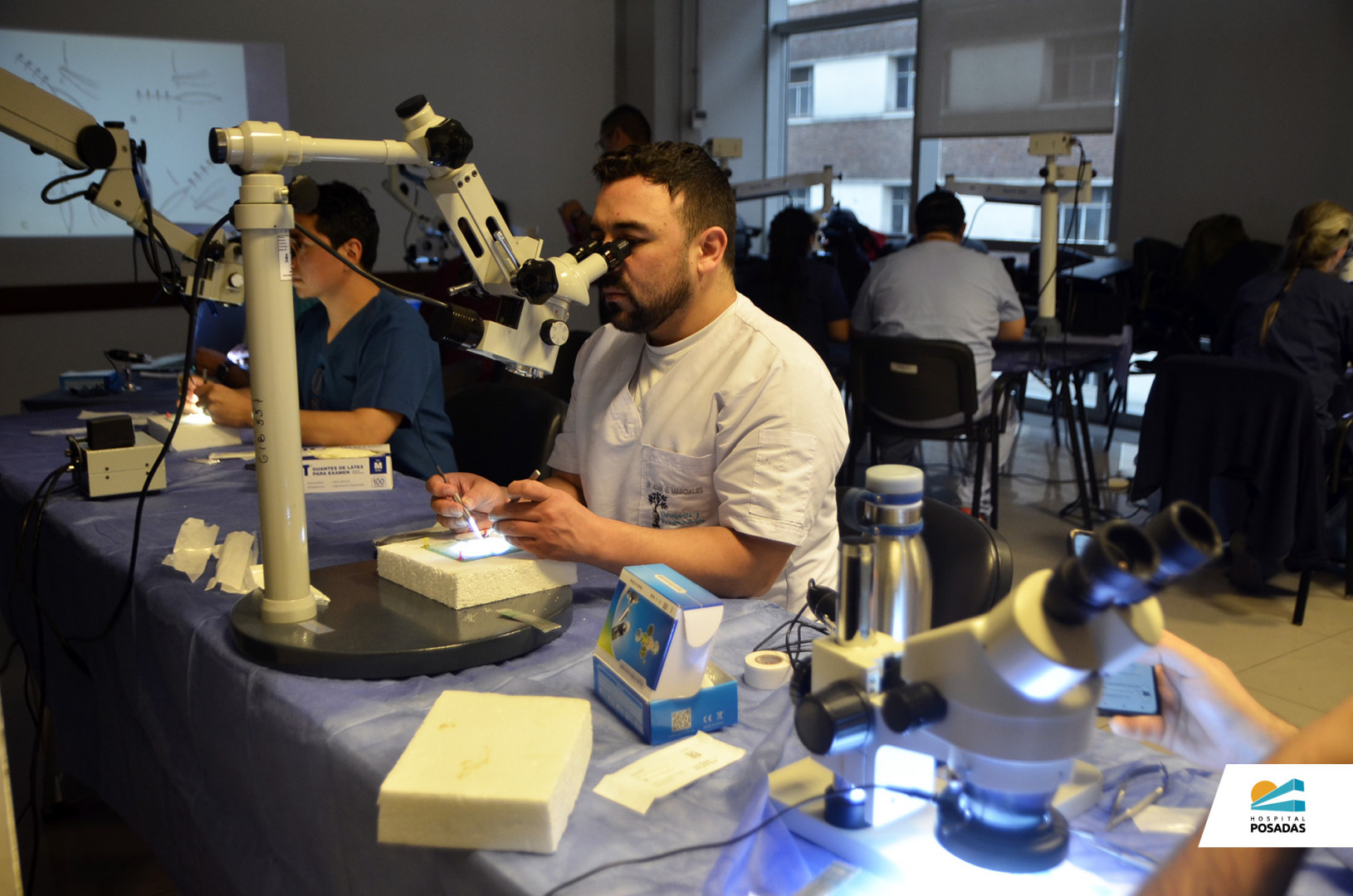 Actividades en la Semana de Parto Respetado