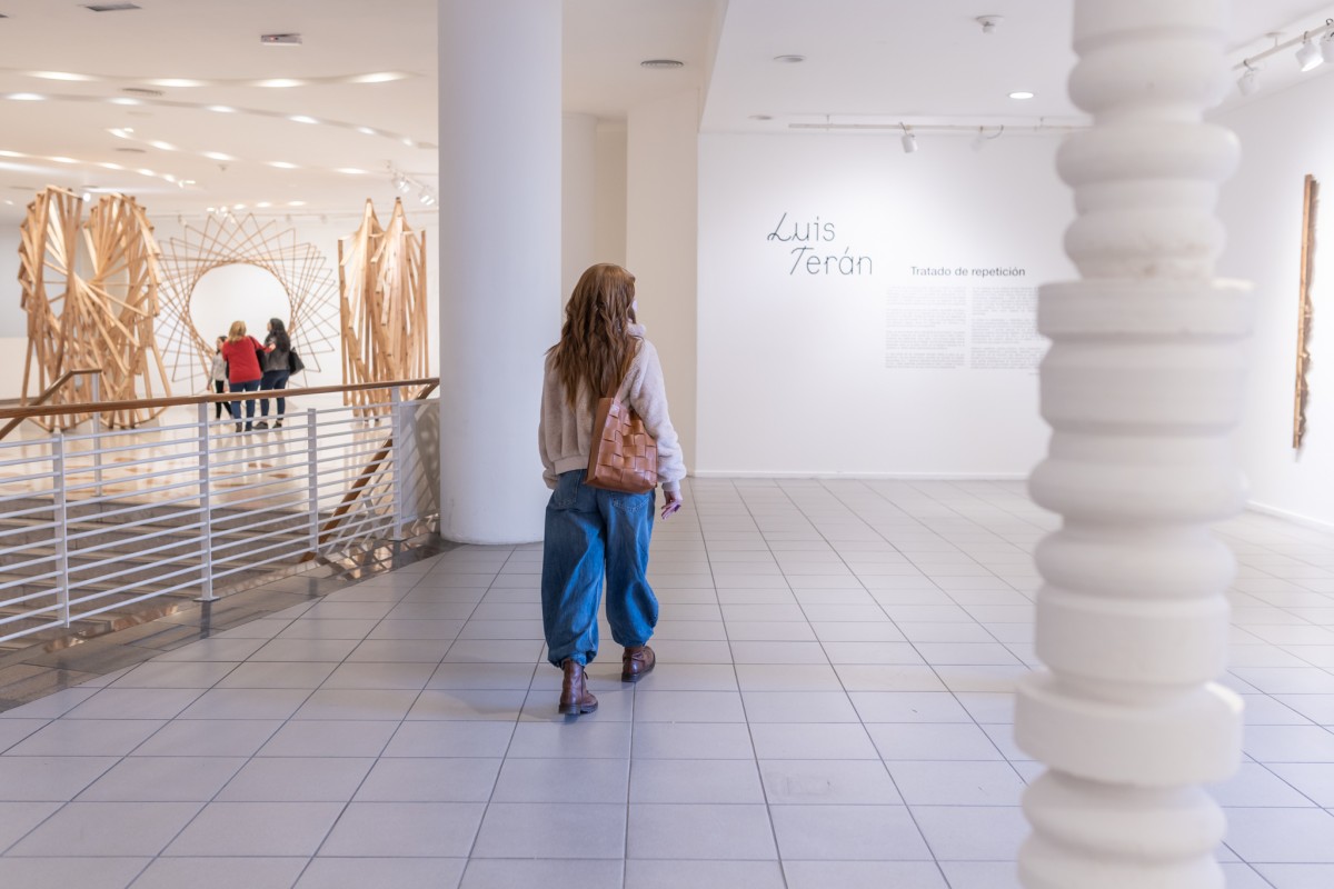 Visita guiada por "Una obra, una muestra", de Luis Terán en el Centro Cultural Borges.