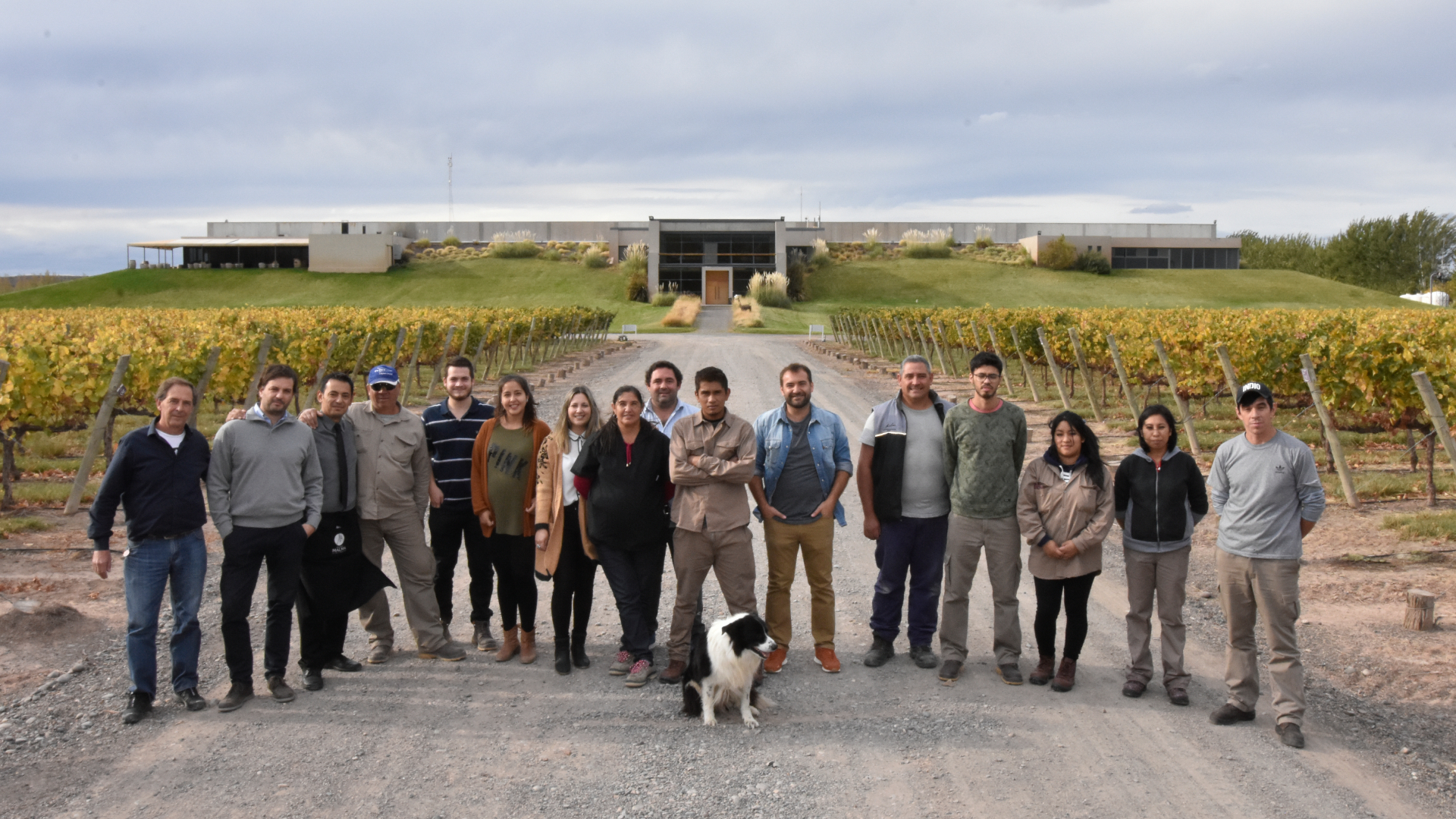 Bodega MALMA