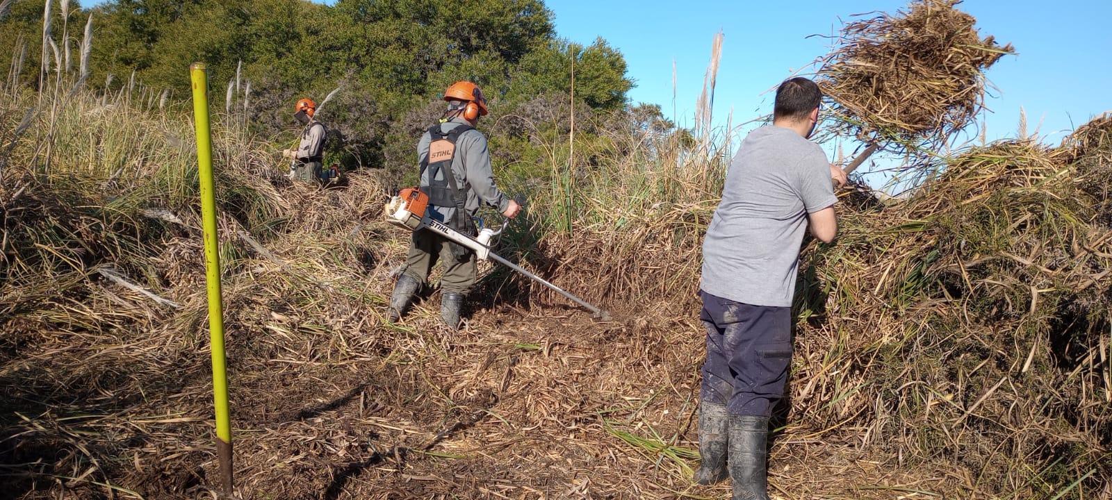 Manejo de pastizales en PN Campos del Tuyú 