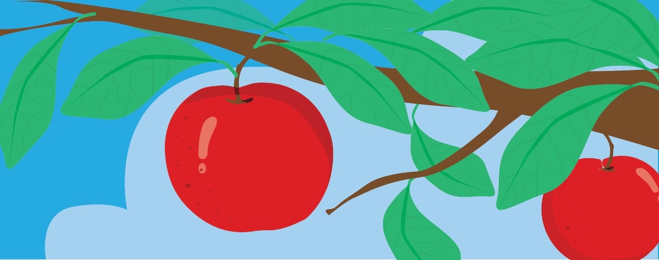 Nota sobre cosecha de manzanas en Senasealo