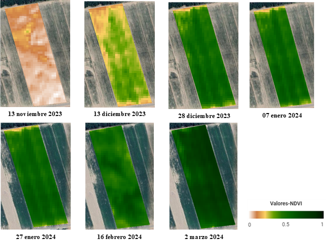 Mapas de índice verde del lote, calculados a partir de imágenes Sentinel 2 Mapas de índice verde del lote, calculados a partir de imágenes Sentinel 2