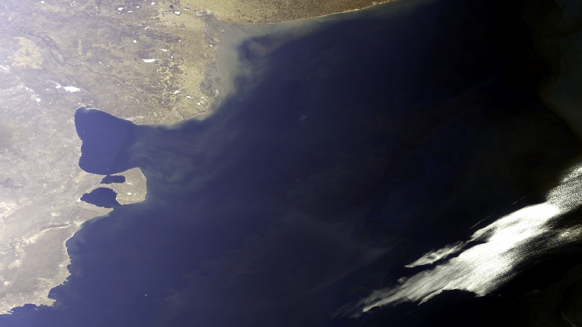  Fitoplancton en el Mar Argentino - Sentinel 3B - 10 de Marzo de 2019