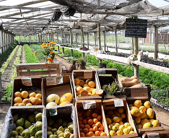 Recomendacion del Mercosur por la Agricultura Familiar