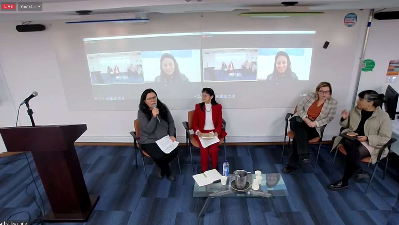 Imagen de la reunión por videoconferencia