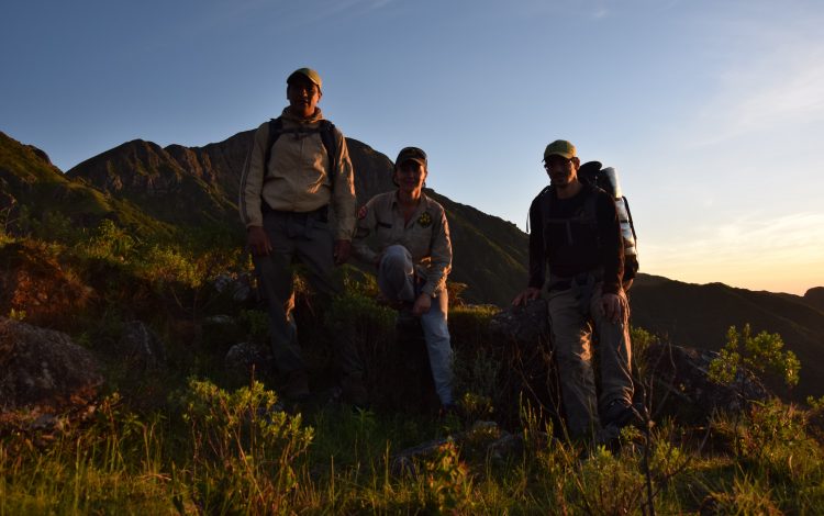 Primer monitoreo de taruca en la Reserva Nacional El Nogalar de Los Toldos
