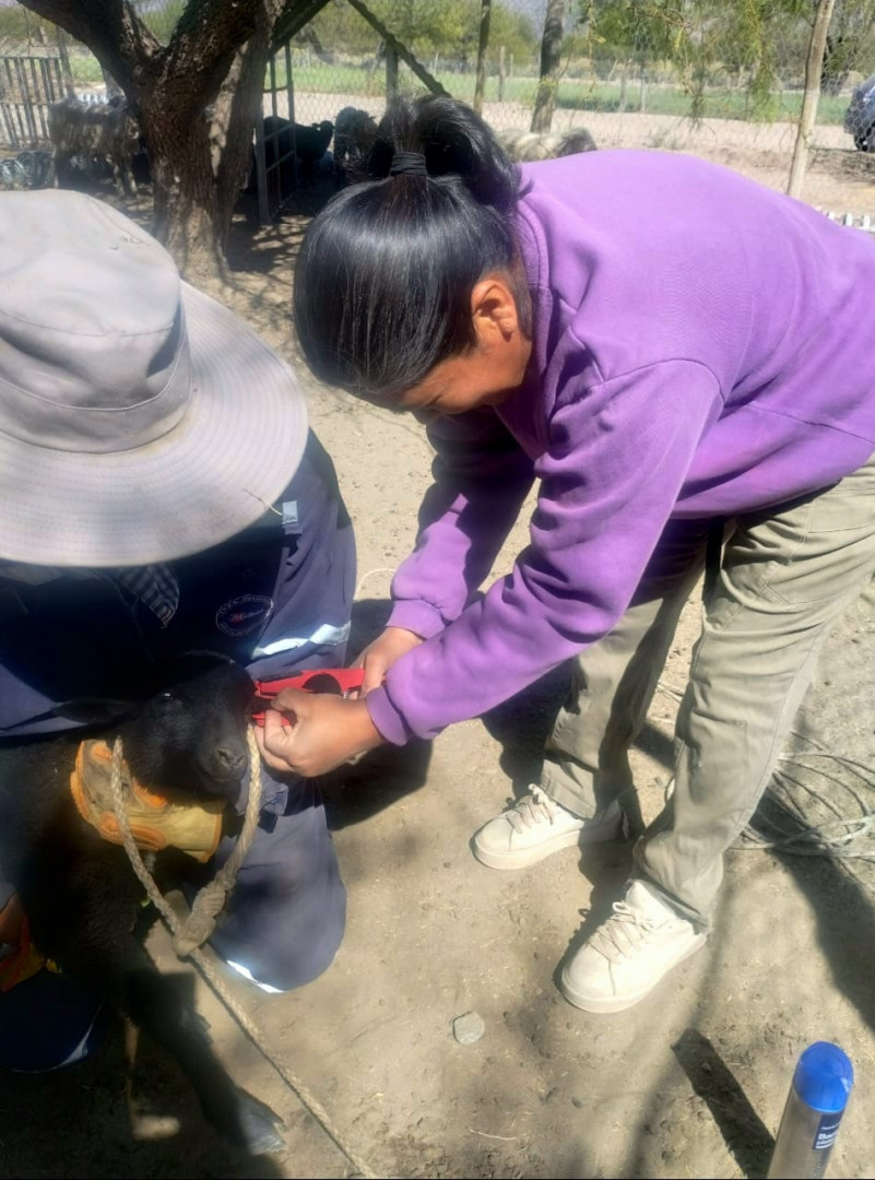 Muestreo con productores en El Bañado