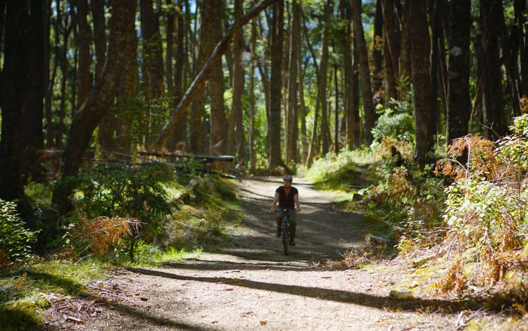Parque Nacional Nahuel Huapi