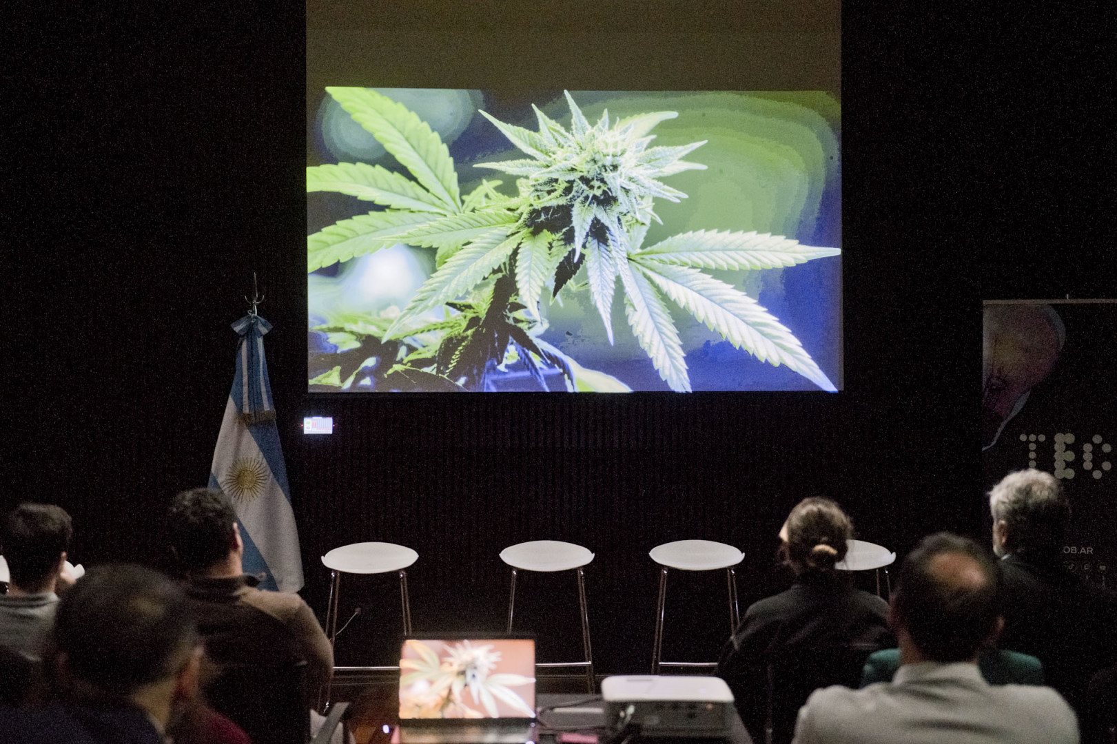 Presentación de nuevo documental, panel de debate y firmas de convenios en una jornada sobre cannabis 1