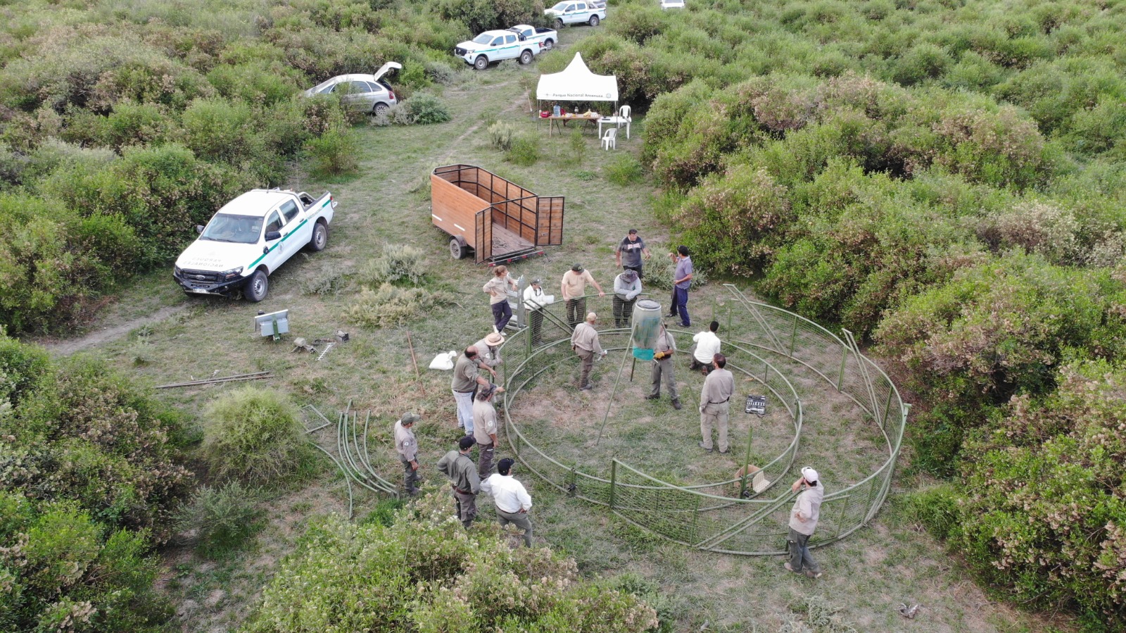 Trampa para control de jabalí en Ansenuza