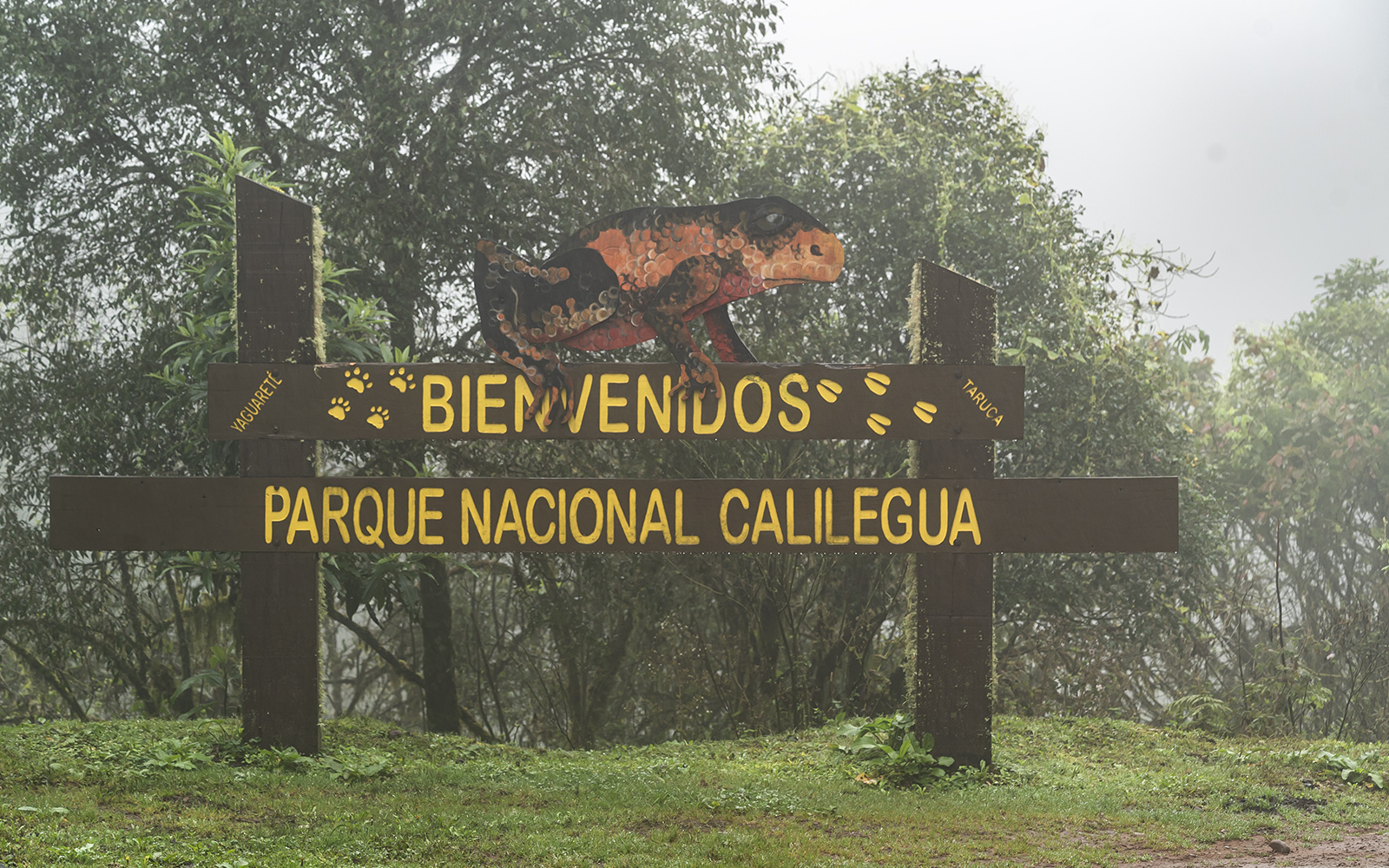 Asume el nuevo intendente del Parque Nacional Calilegua | Argentina.gob.ar