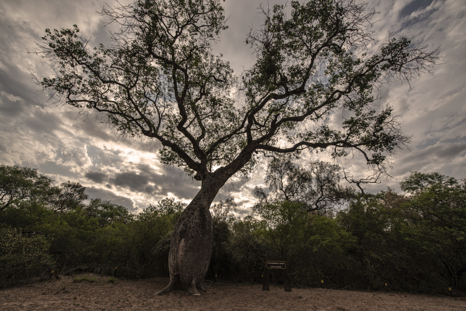 Parque Nacional El Impenetrable