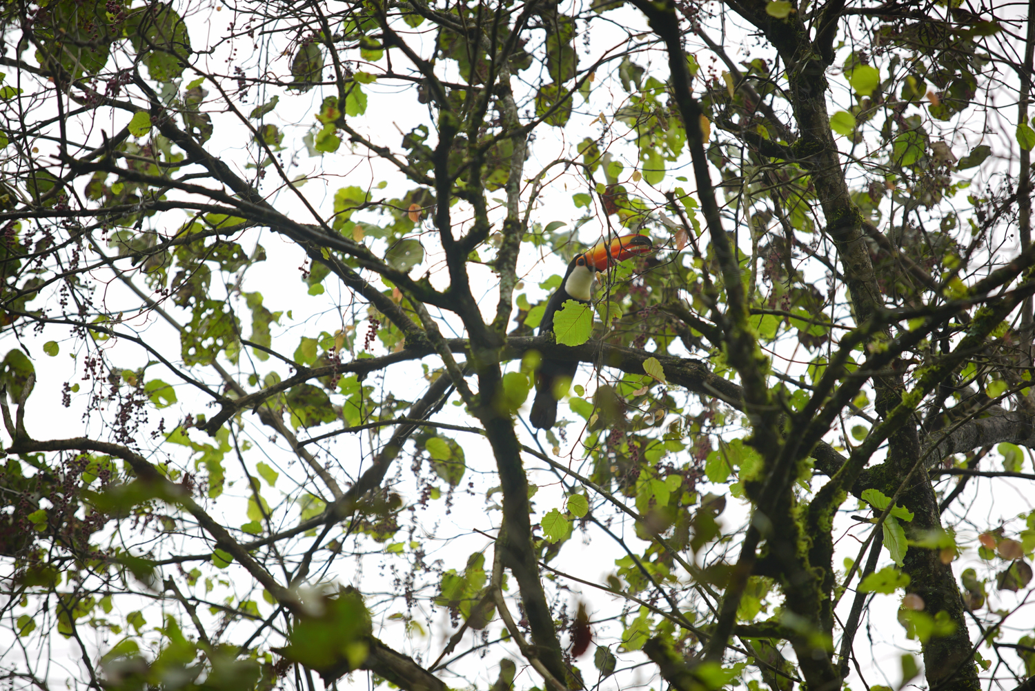 Otoño en Parques Nacionales