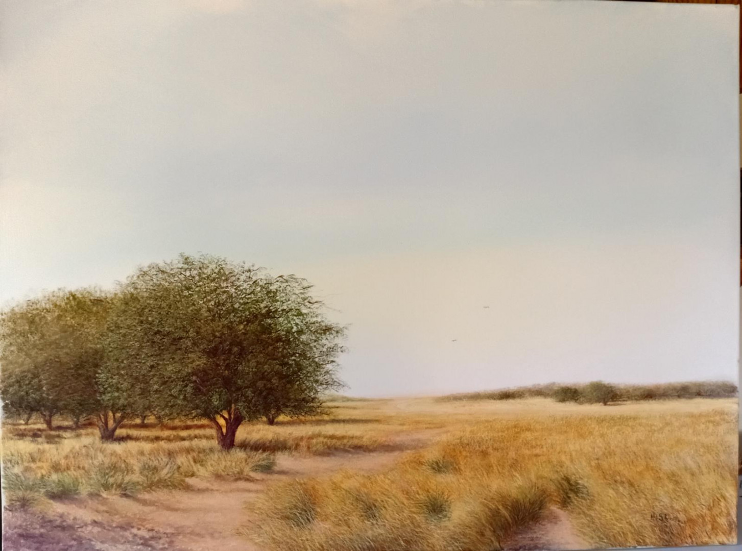 "Pampa", de María Alicia Silvani
