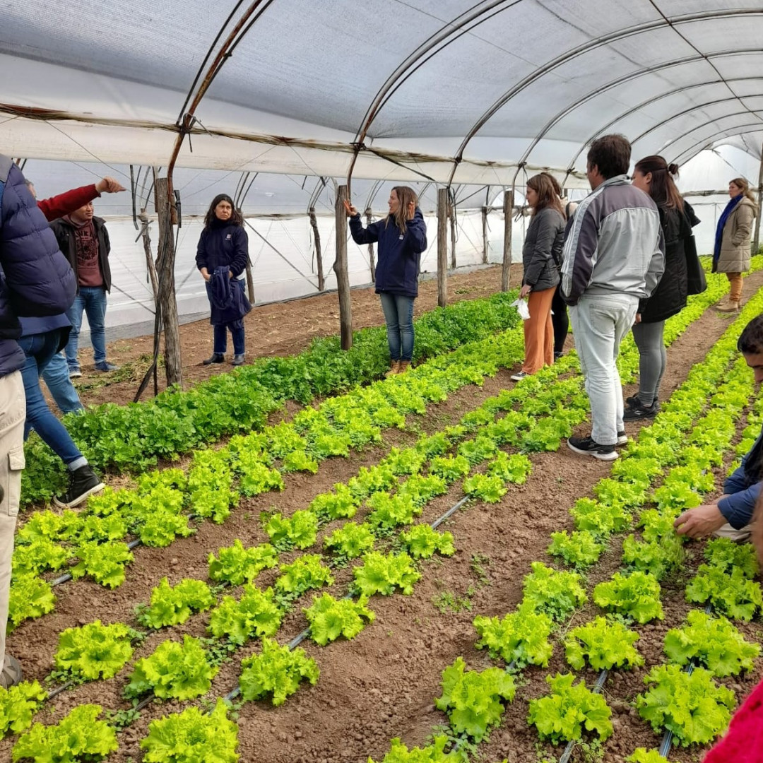 La industria agroalimentaria de Arrecifes: cosechando éxito y sostenibilidad