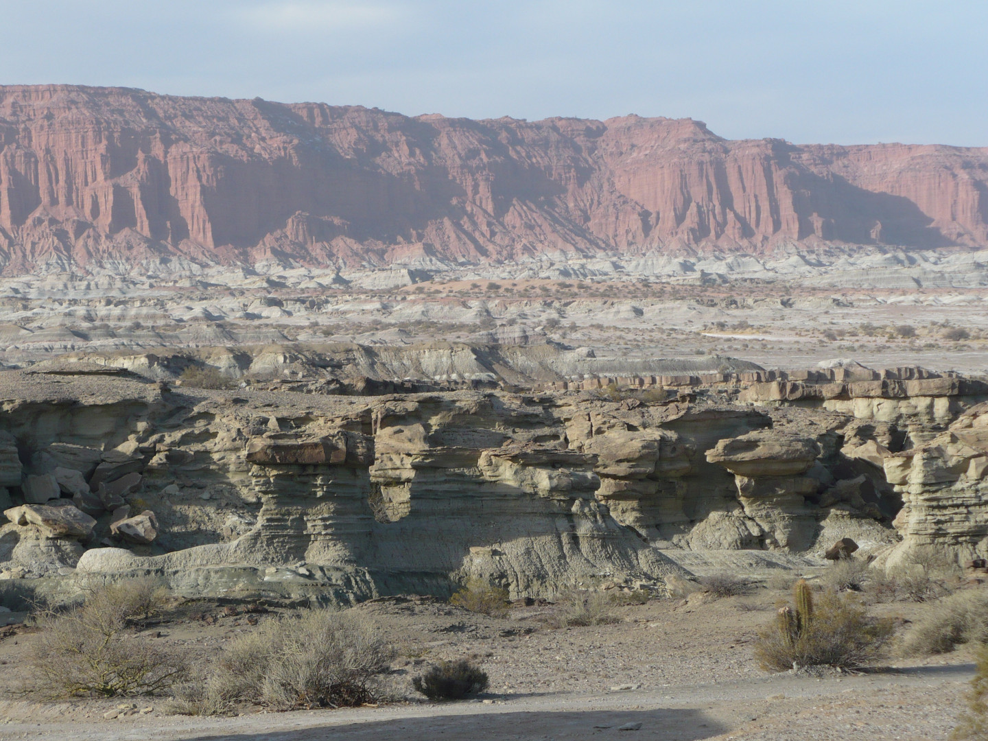 Panorama general del Parque Provincial Ischigualasto, provincia de San Juan. 