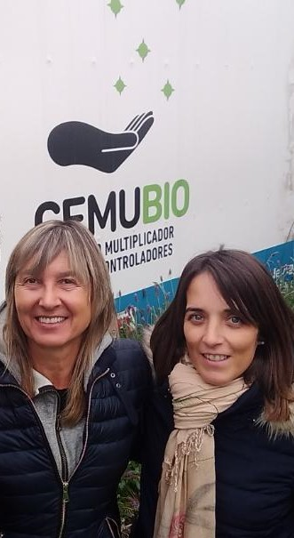 Participantes