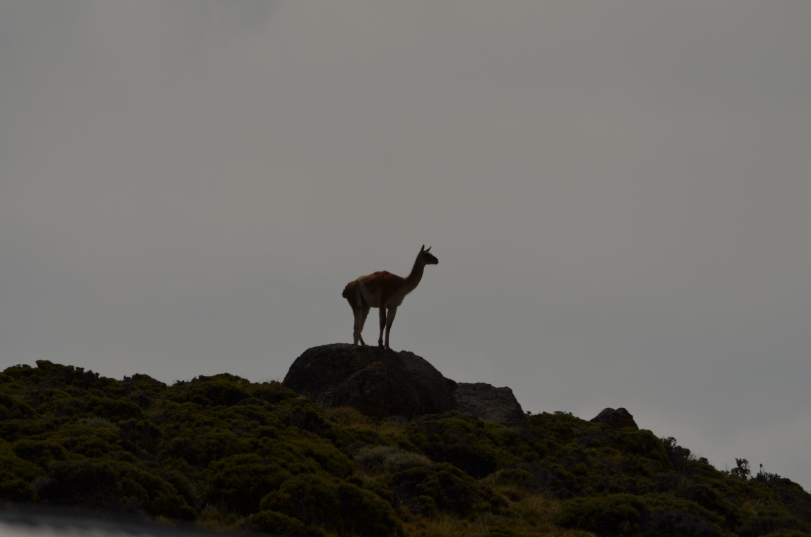 PN Perito Moreno.