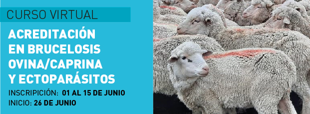 Brucelosis y ectorparasitosis ovina Junio 2023