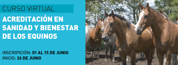 Sanidad y bienestar equino Junio 2023