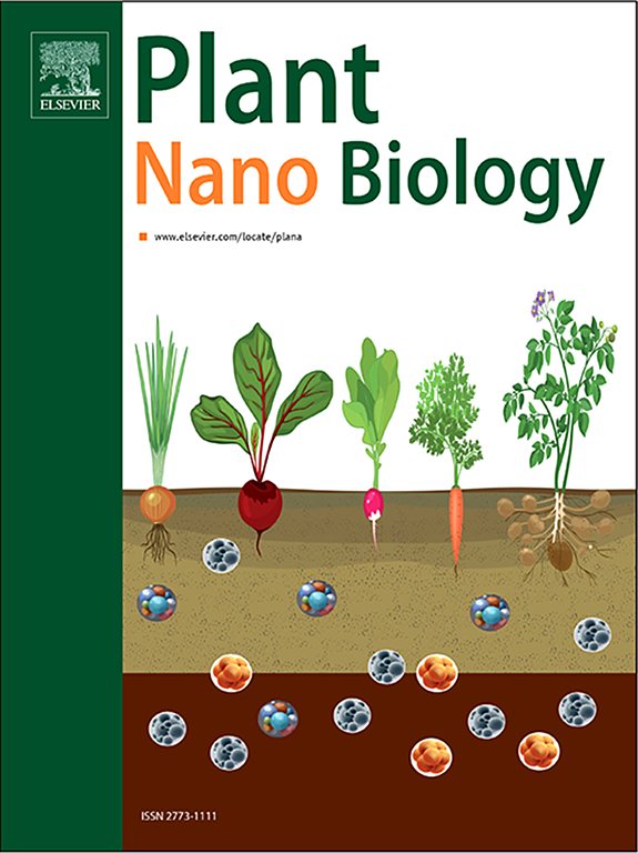 Biosynthesis; Biosíntesis; Garbanzo; Chickpeas; Enfermedades de las Plantas; Plant Diseases; Tizón del Garbanzo; Chickpea Blight; Nanopartículas; Nanoparticles; Bacterial Strains; Copper Nanoparticles; Antifungal Activity; Ascochyta Blight