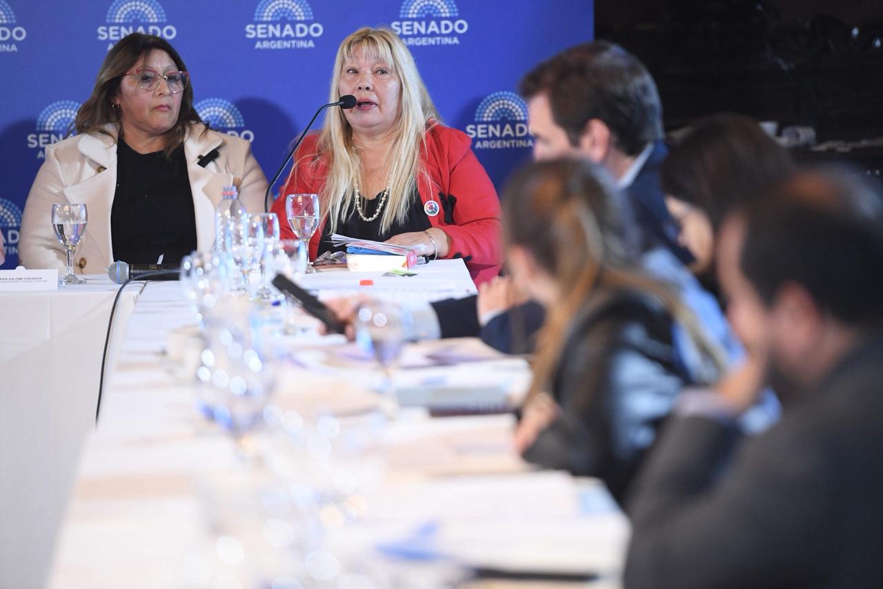 Plenario Senado 02 13-5-26