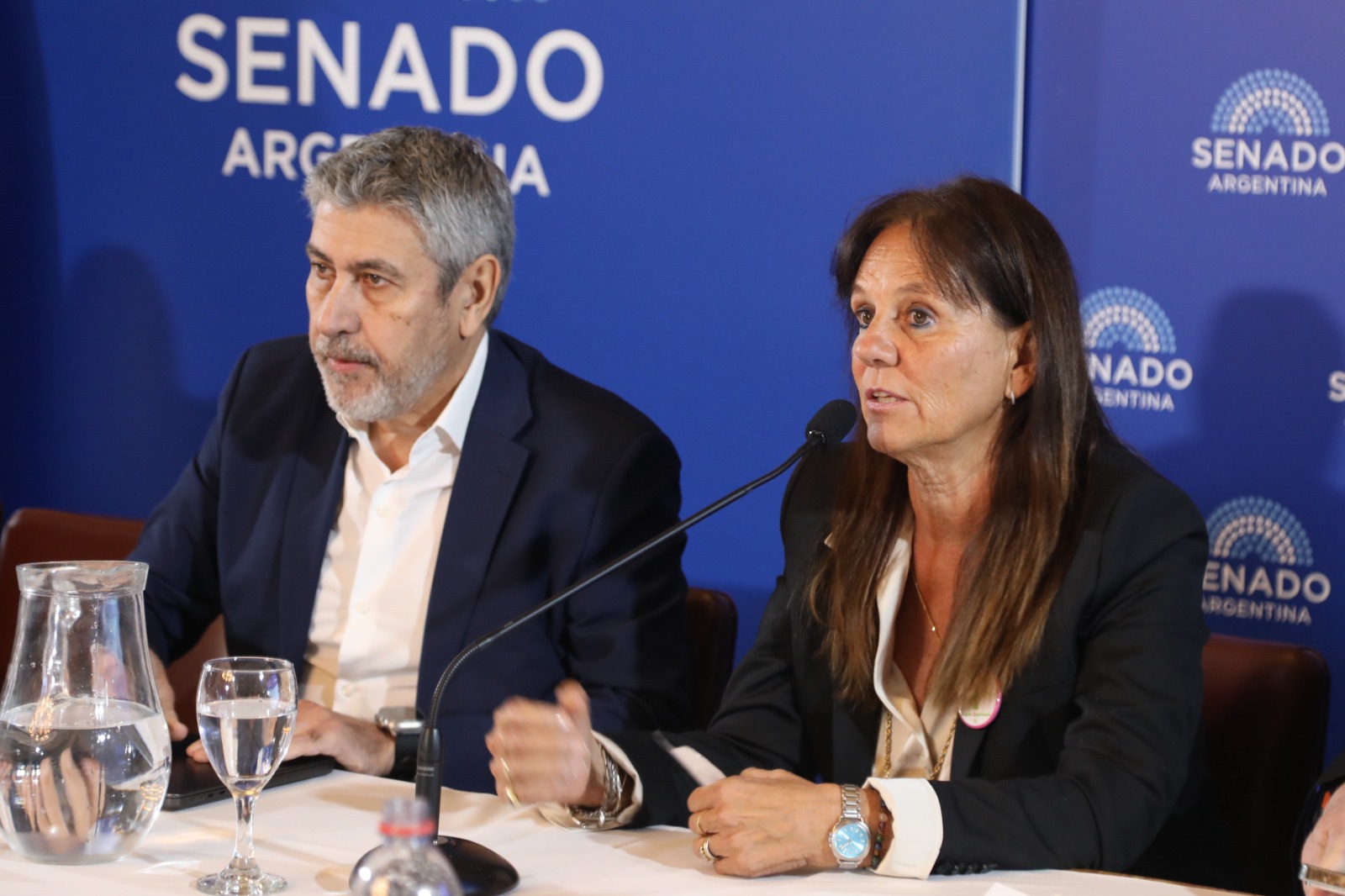 Plenario Senado 03 13-5-26