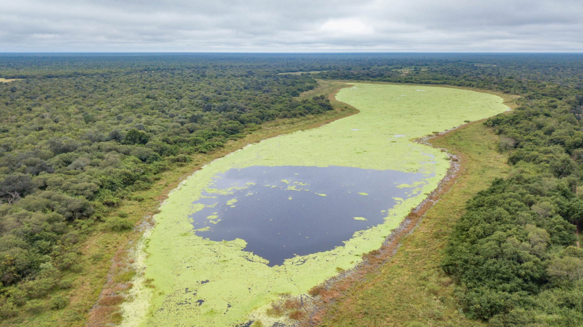 Parque Nacional El Impenetrable