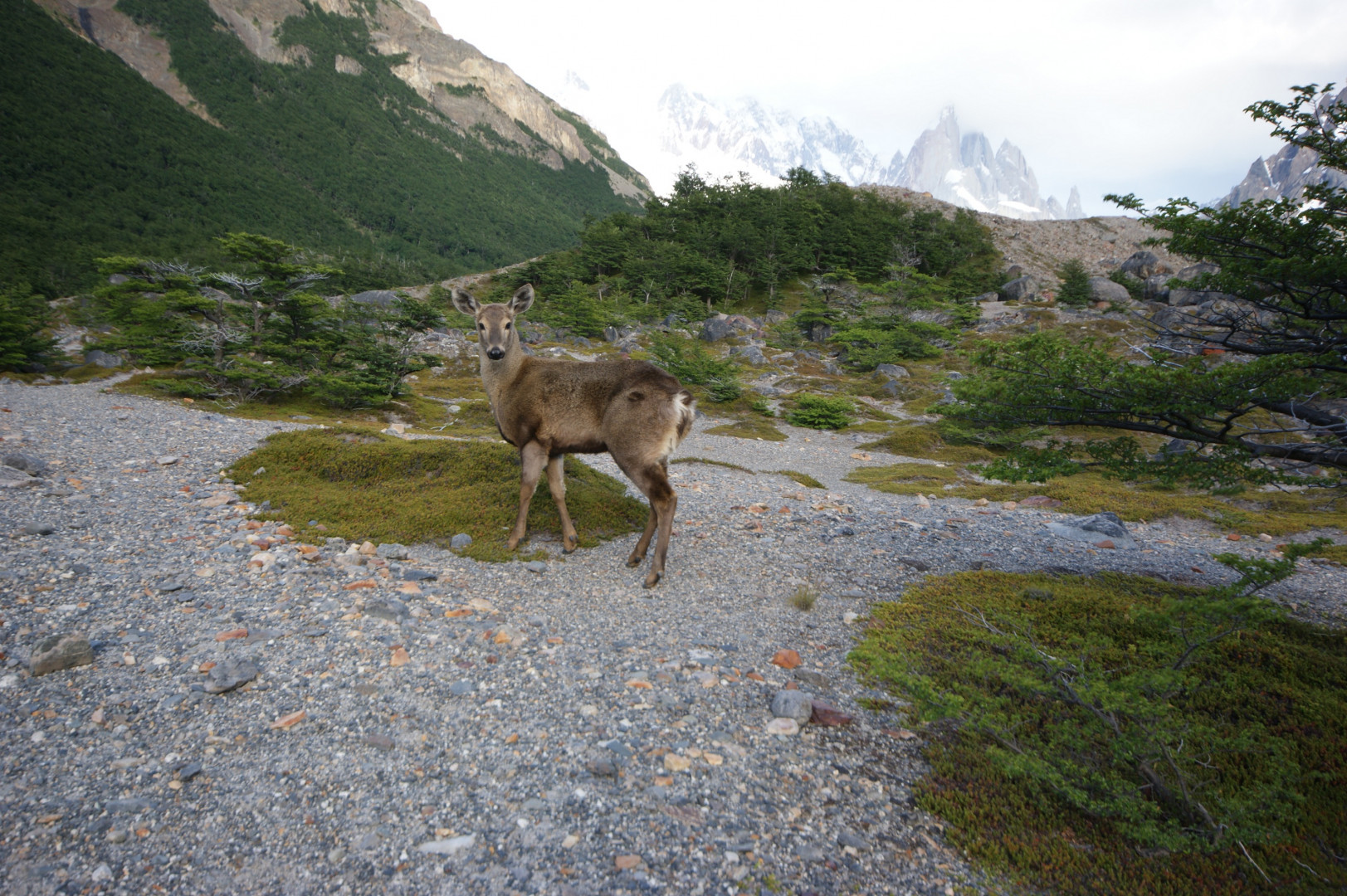 PN Los Glaciares