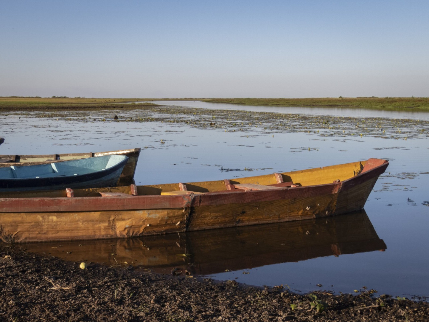 Botes en la orilla, una de las postales típicas en el área Arroyo Carambola.