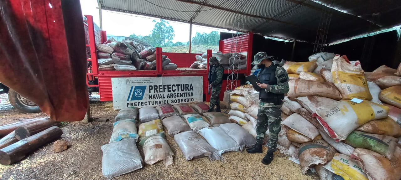  soja ilegal en El Soberbio 