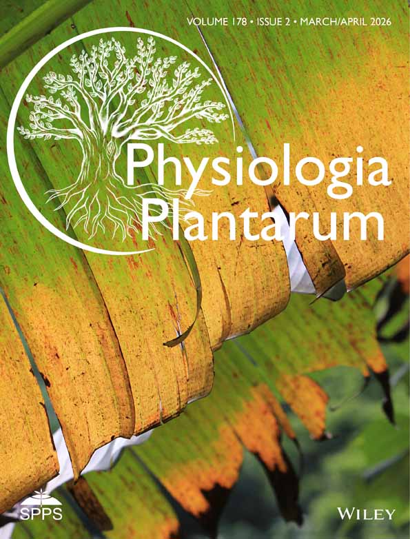 Feed Crops; Plantas Forrajeras; Estrés Osmótico; Osmotic Stress; Chloris gayana; Salinidad; Salinity; Gramíneas Forrajeras; Feed Grasses; Hydroponics; Cultivo Hidropónico; Forage Crops; Halotolerant Bacteria; Plant Growth-promotion; Saline Stress; Bacterias Halotolerantes; Promotor de Crecimiento Vegetal; Estrés Salino; Rhodes Grass; Grama Rhodes; Hidroponia