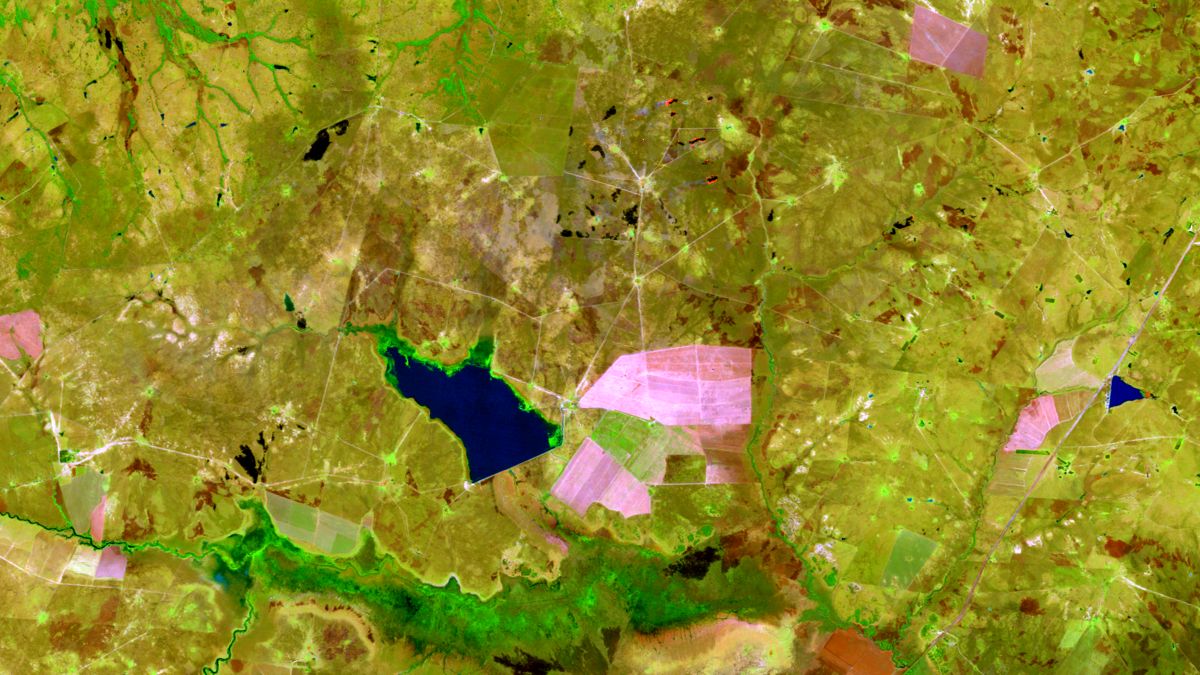 Producción de arroz en Corrientes - Landsat 5 TM - 22 de Septiembre 2011