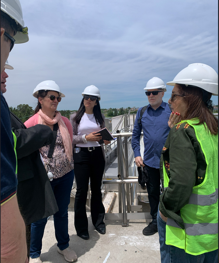 Proyecto Pteli polo curtidor  12