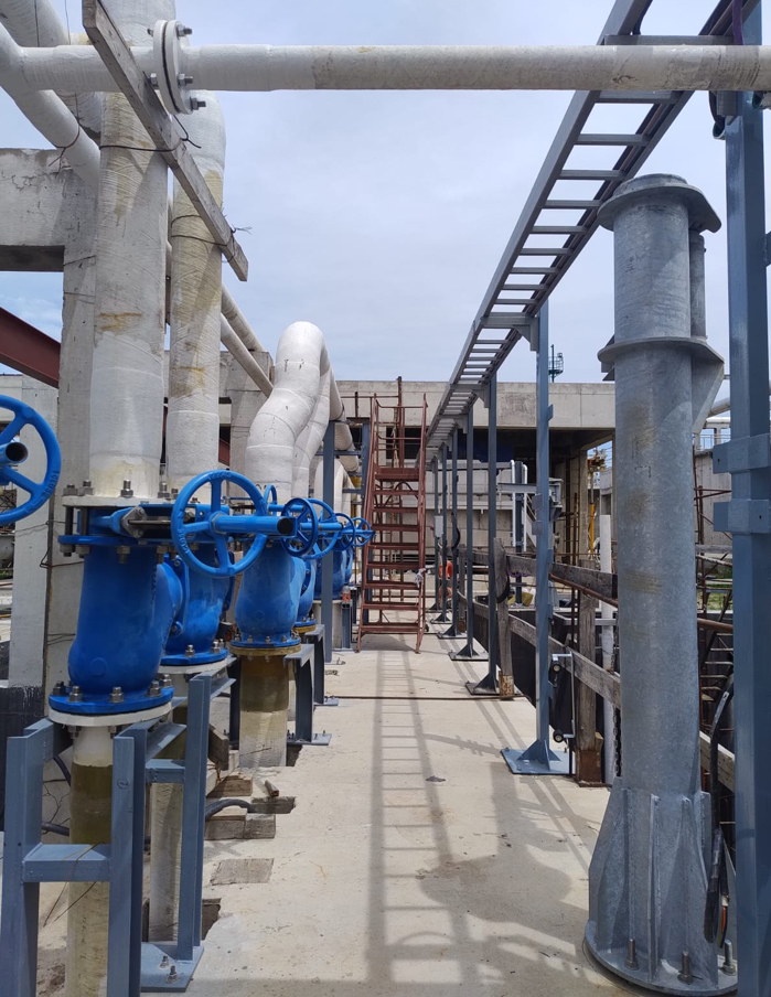 Proyecto Pteli polo curtidor  14