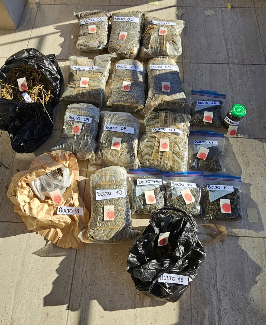 La PSA desbarató una organización narcocriminal con el sello del delfín y detuvo a 12 personas 4 psalabo03