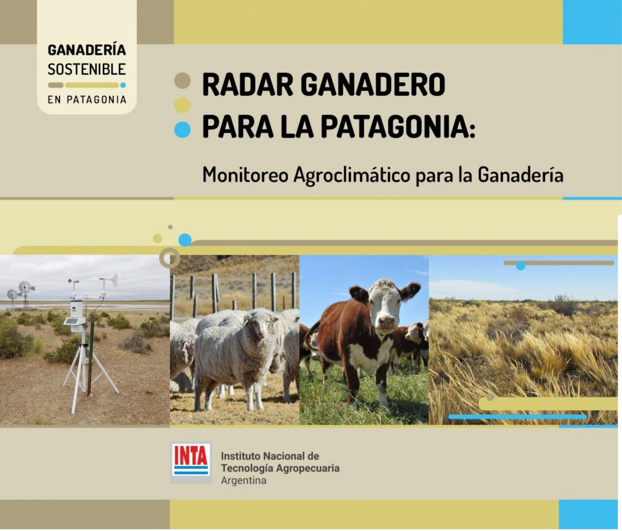 Radar Ganadero de la Patagonia: año 3 N°1 - enero del 2026
