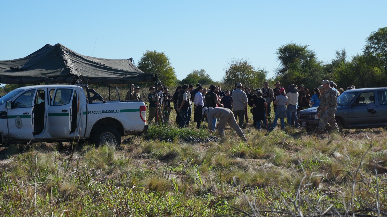 Reforestaron con 1500 plantas nativas en la Reserva Natural de la Defensa La Calera